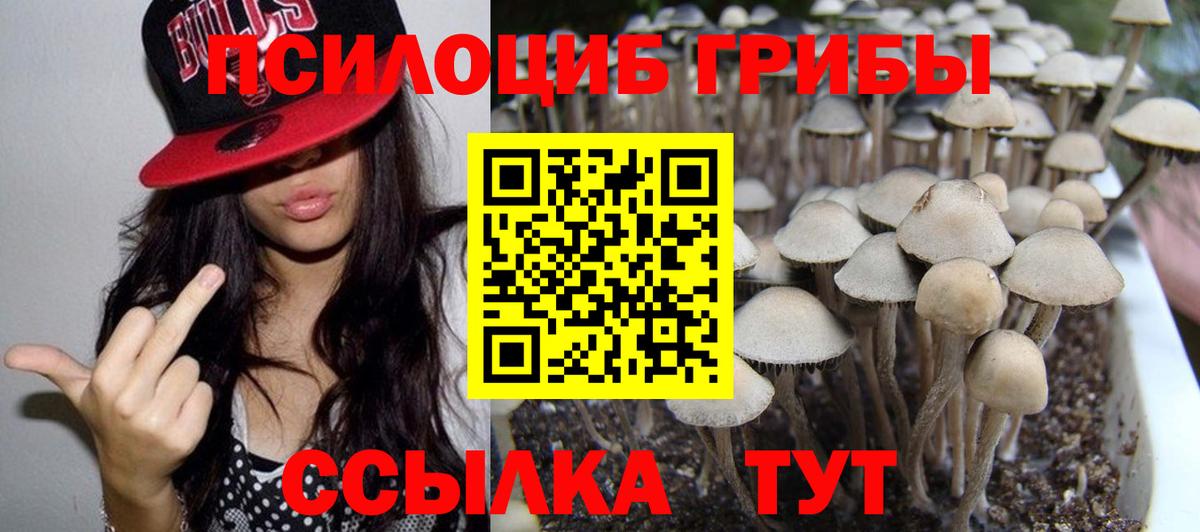 Каменка  Псилоцибиновые грибы Magic Shrooms  Вход с VPN 