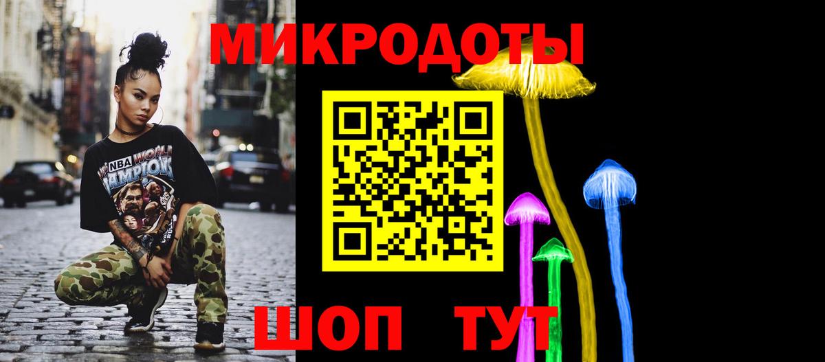 Галлюциногенные грибы Magic Shrooms Каменка